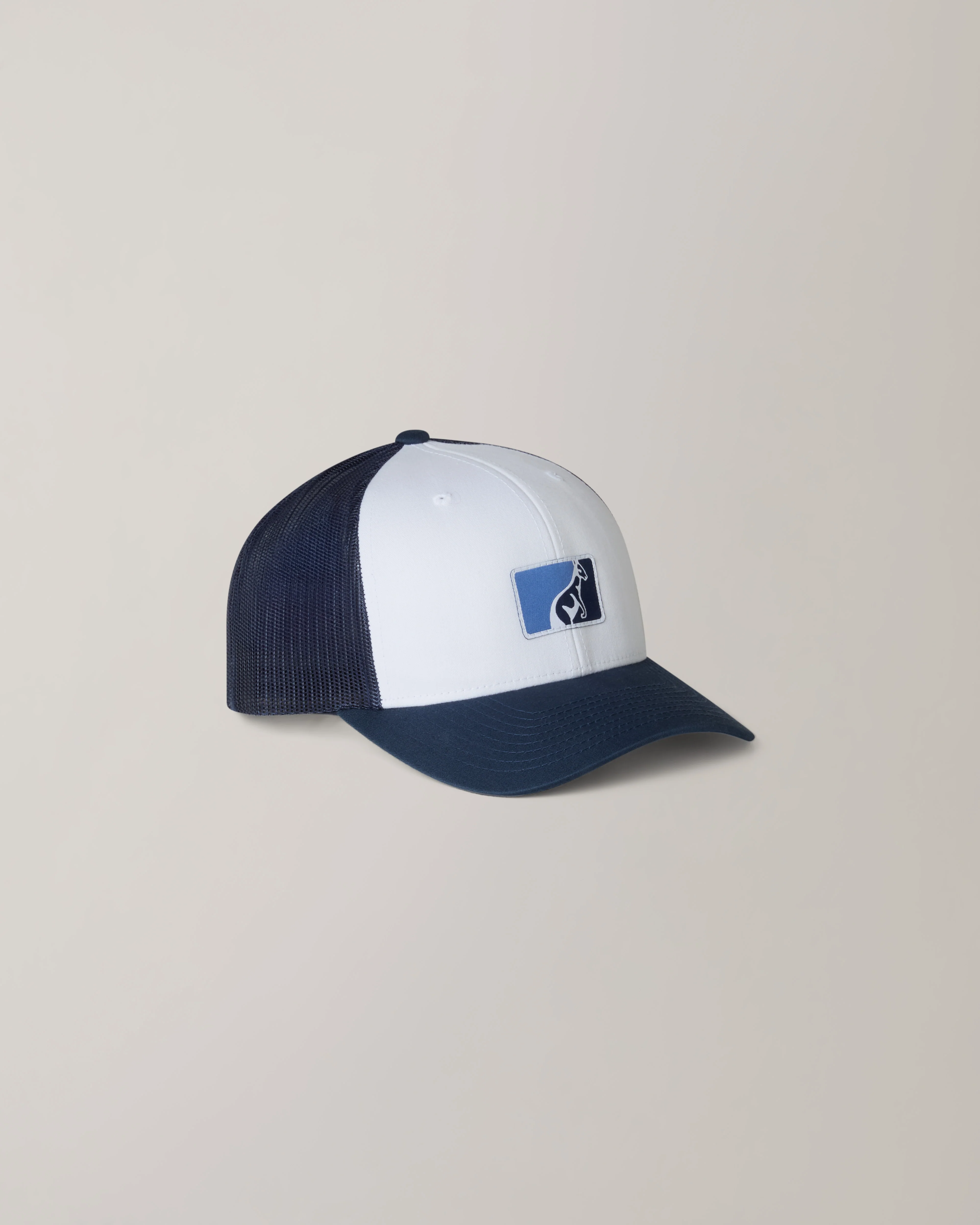 Poison Cap